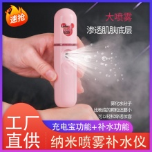 【纳米喷雾补水仪】USB充电 充电宝功能 便携冷喷脸部加湿仪