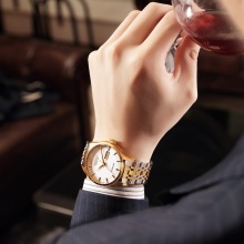 雷克斯R0101正品商务腕表手表男时尚潮流新款全自动机械表钢带防水男表