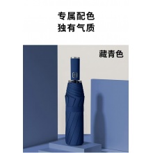 十骨全自动晴雨伞黑胶男女商务加大双人折叠配色
