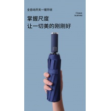 十骨全自动晴雨伞黑胶男女商务加大双人折叠配色
