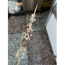 猪肺