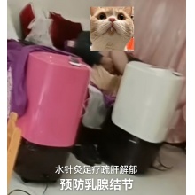 足疗十次含针灸，按摩，电疗，臭氧