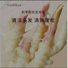 钰诗蔻精品生姜洗发水501ml