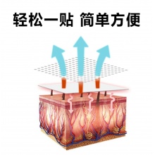 苗济众富贵包保健贴2盒