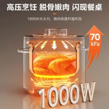 国美电器压力锅 5L