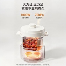 国美电器压力锅 5L