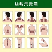 盛牛筋骨祛痛贴 5盒