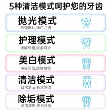 万和电动牙刷WZ-DYS1
