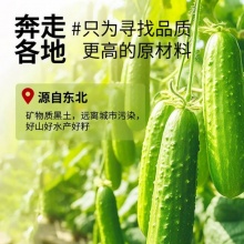 高钙黄瓜籽粉2桶